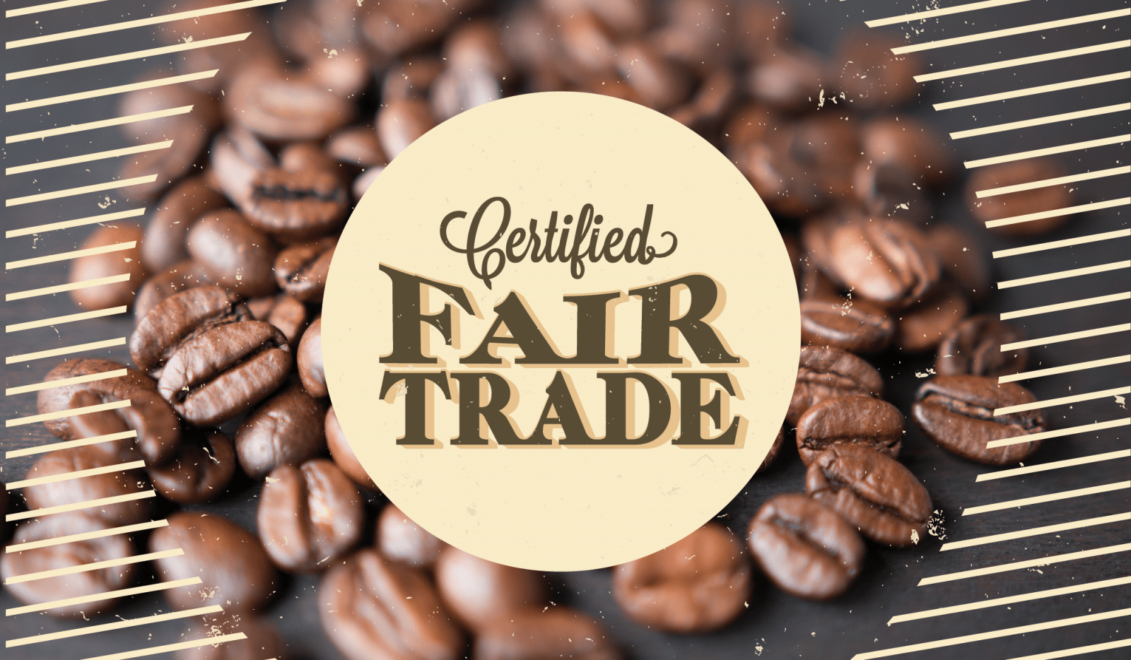 fair trade zertifiziert Fairtrade made in freedom
