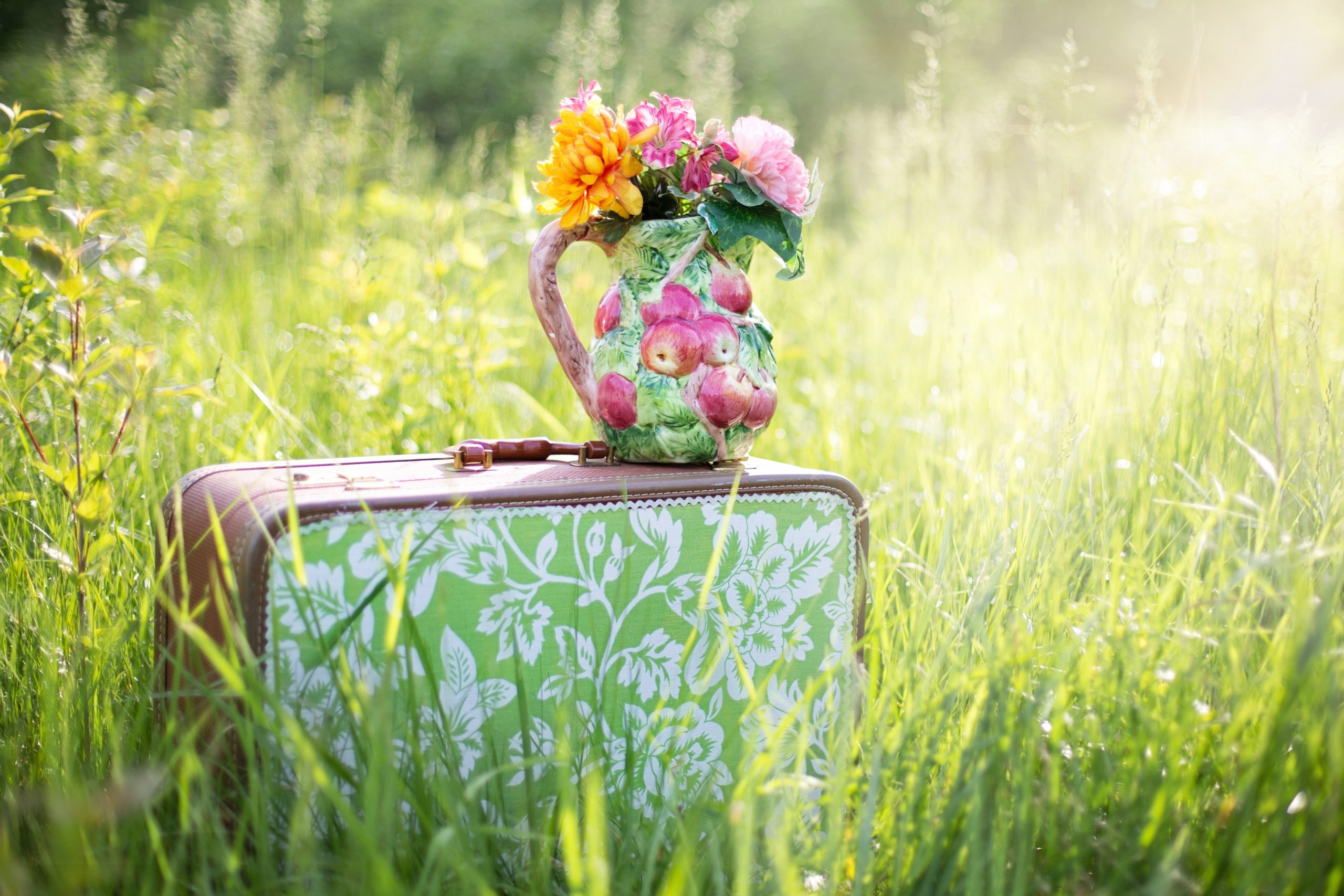 Hohes Gras mit einem Koffer und einer Vase