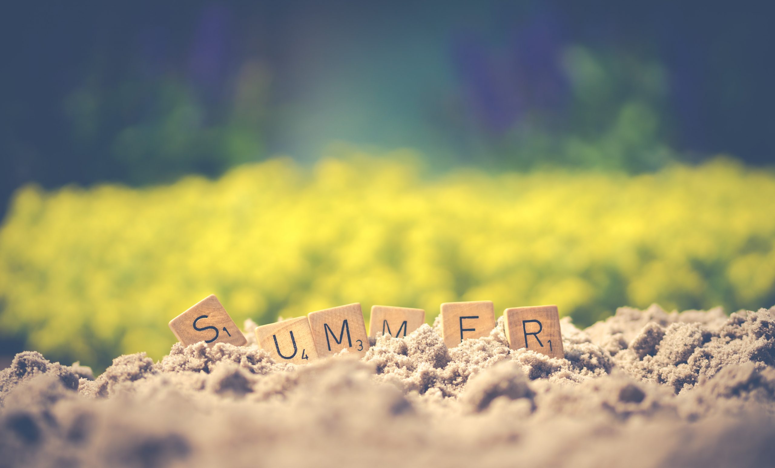 Scrabble-Buchstaben bilden das Wort 'SOMMER' auf Sand, mit einem Feld gelber Blumen im Hintergrund.