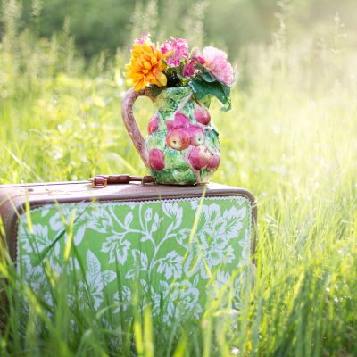 Hohes Gras mit einem Koffer und einer Vase